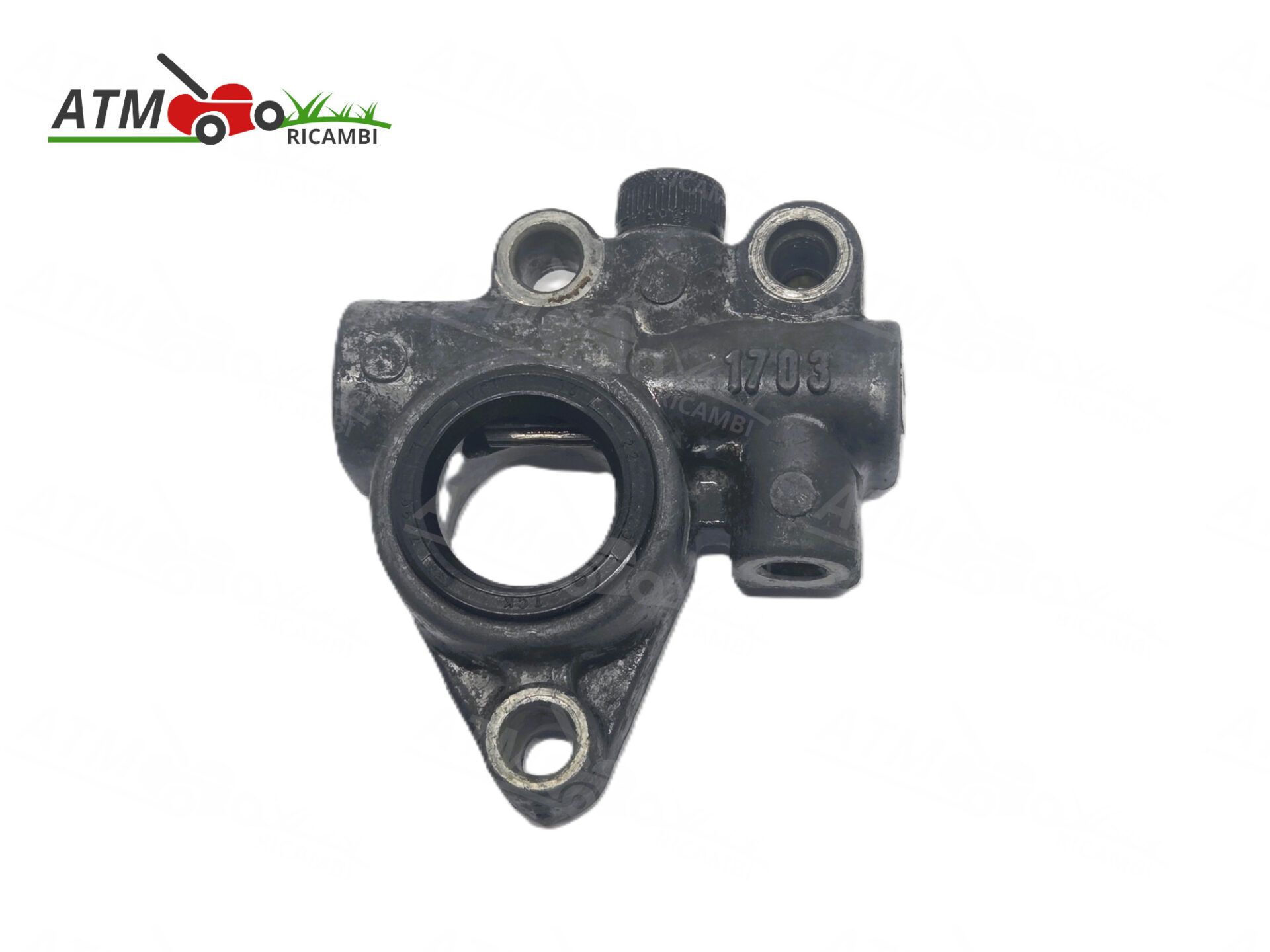 Pompa Olio Catena Per Motosega Elettrica Alpina GGP ES181-2216Q – Ricambio Originale 118805354/0 - Foto 2