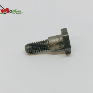 Vite frizione decespugliatore Blue Bird 390330