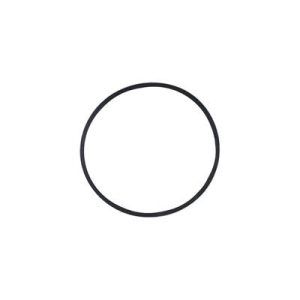 Guarnizione vaschetta carburatore Briggs & Stratton Huayp 592485